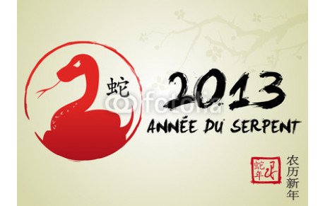 2013 ANNEE DU SERPENT
